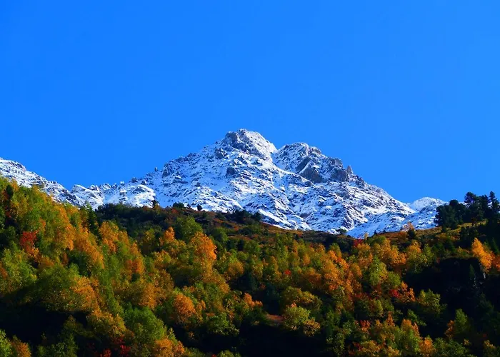 Starla 4 Lägenhet *