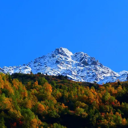 Starla 4 Apartman *